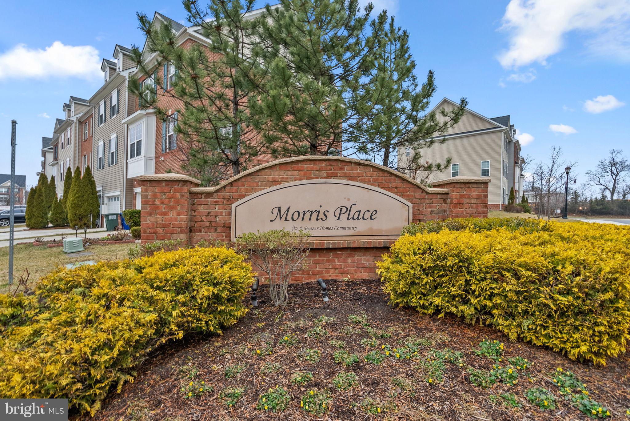 MORRIS PLACE - Residential