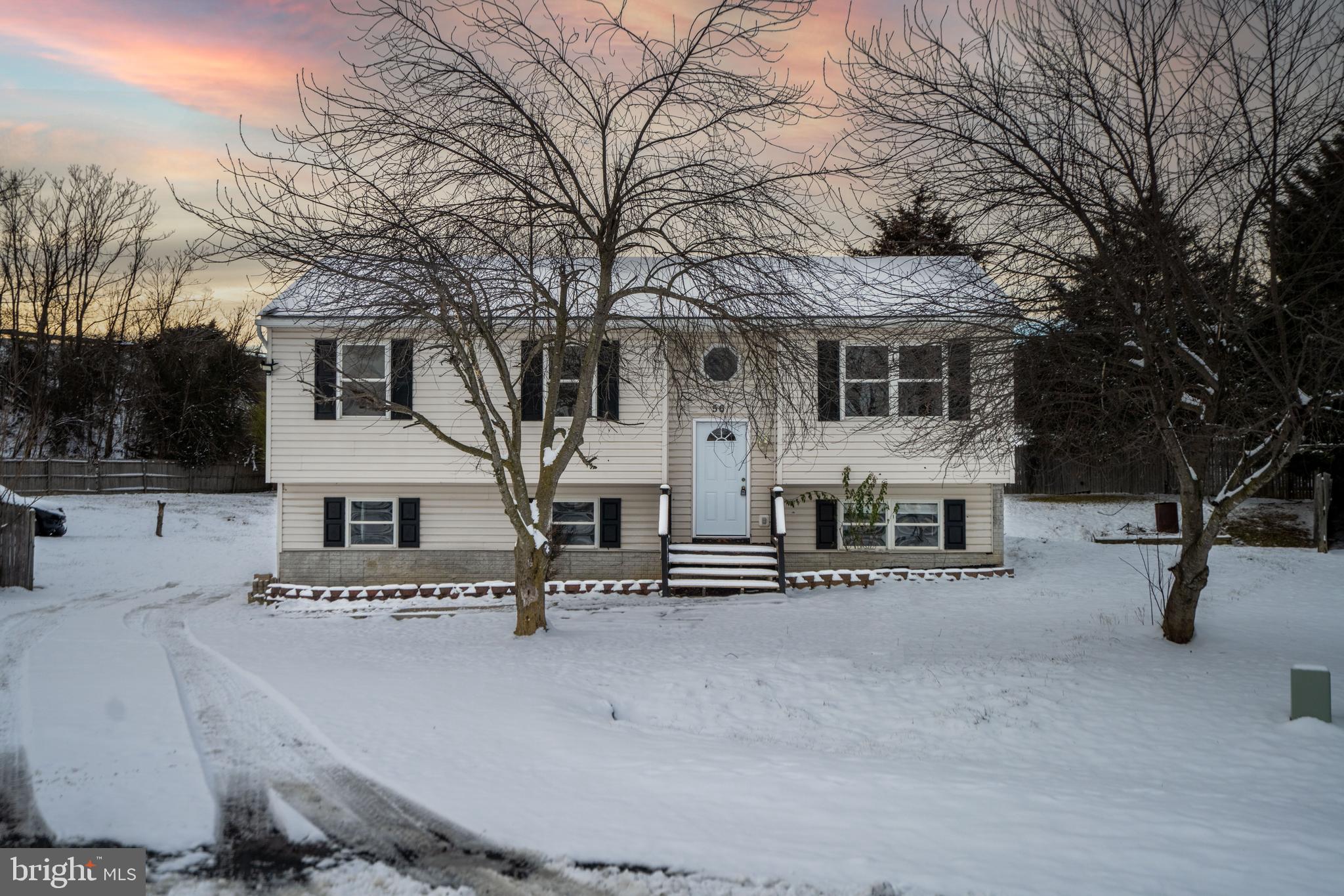 THE MEADOWS AT STRASBURG - Residential