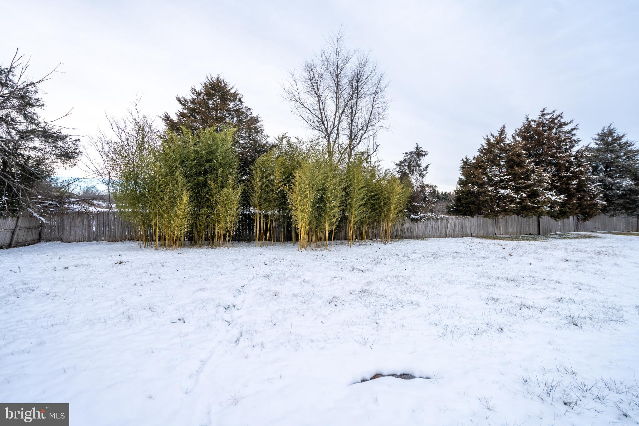 THE MEADOWS AT STRASBURG - Residential