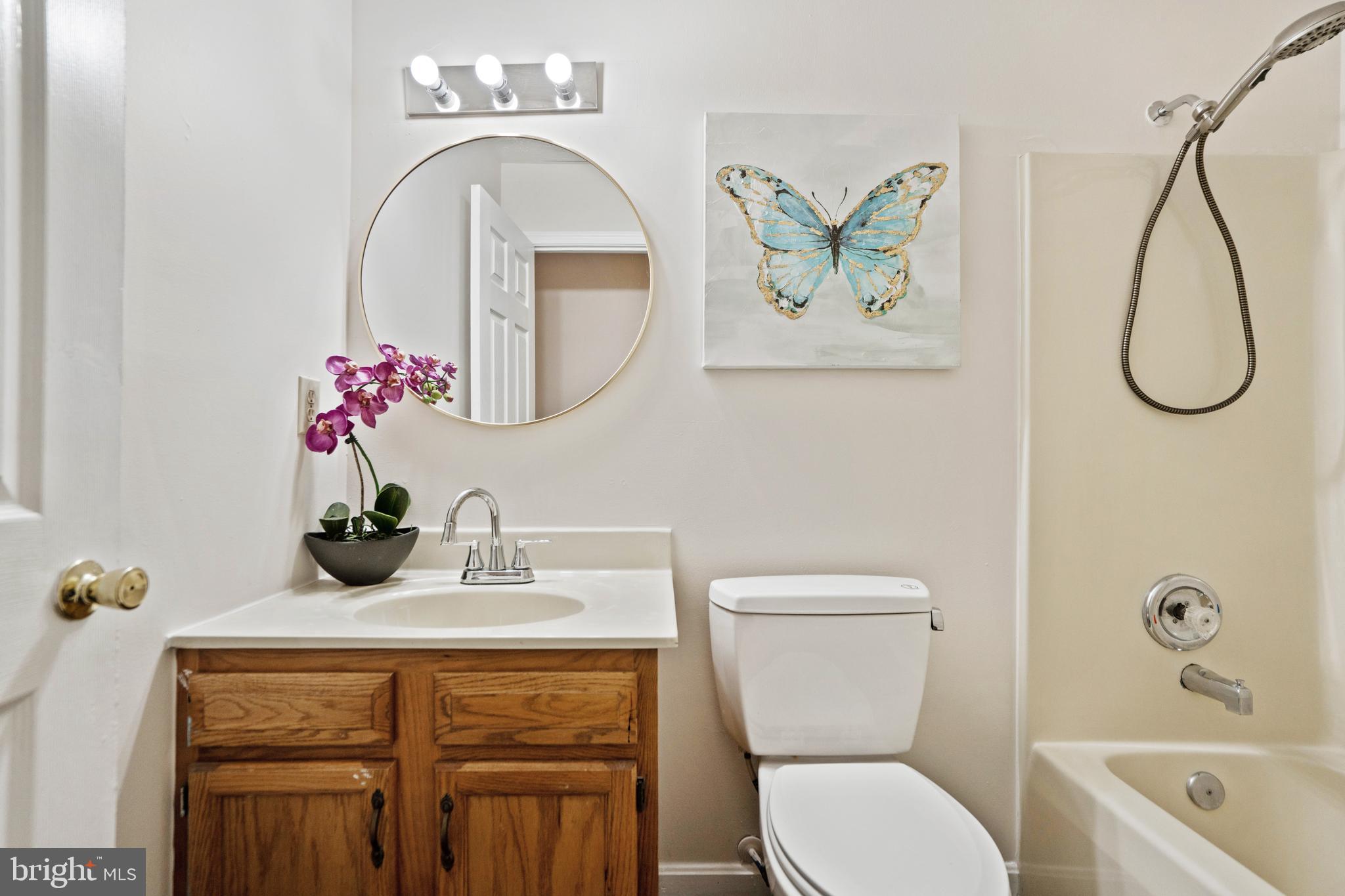 THE MEADOWS AT STRASBURG - Residential