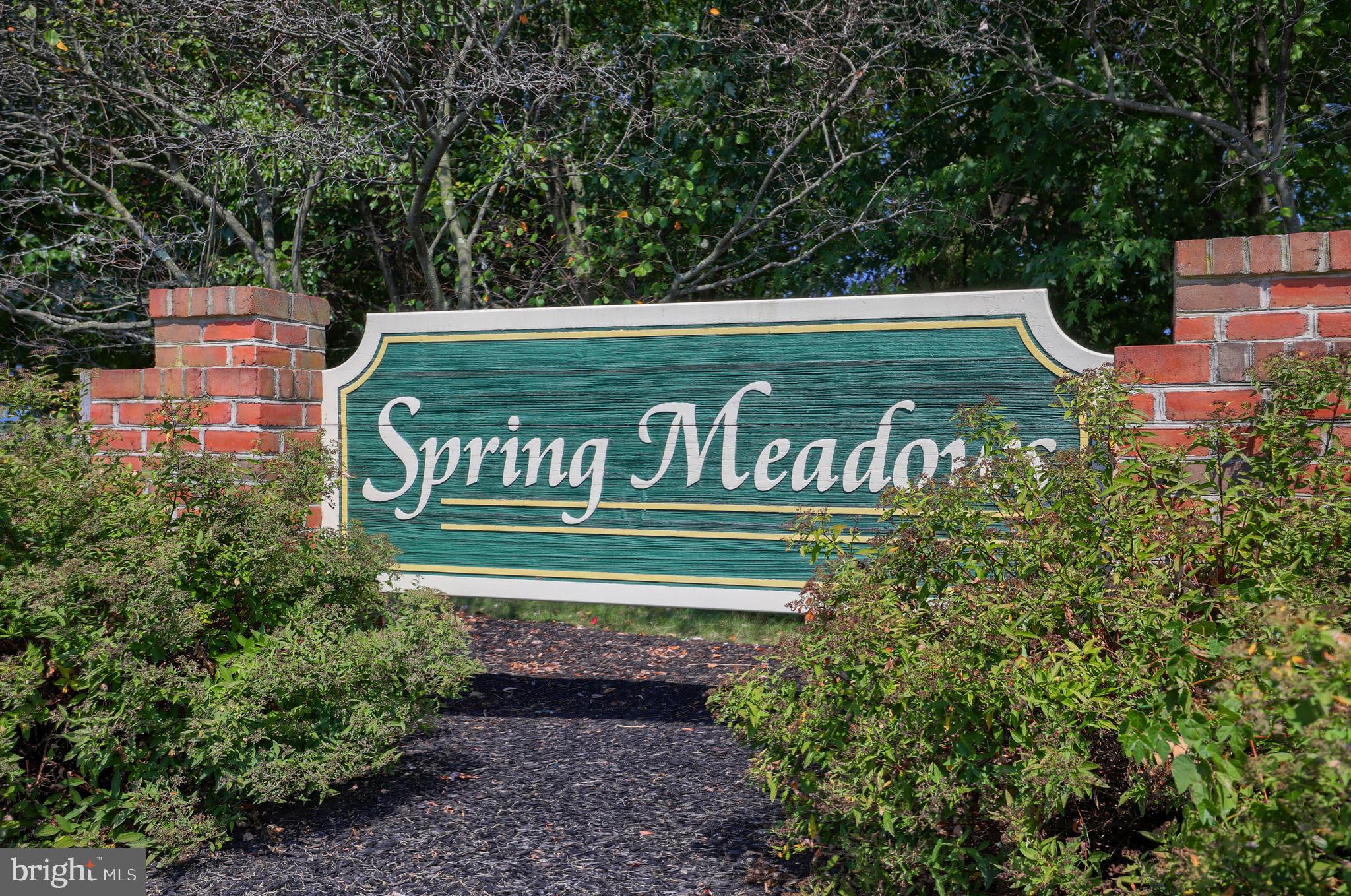 SPRING MEADOWS - Residential