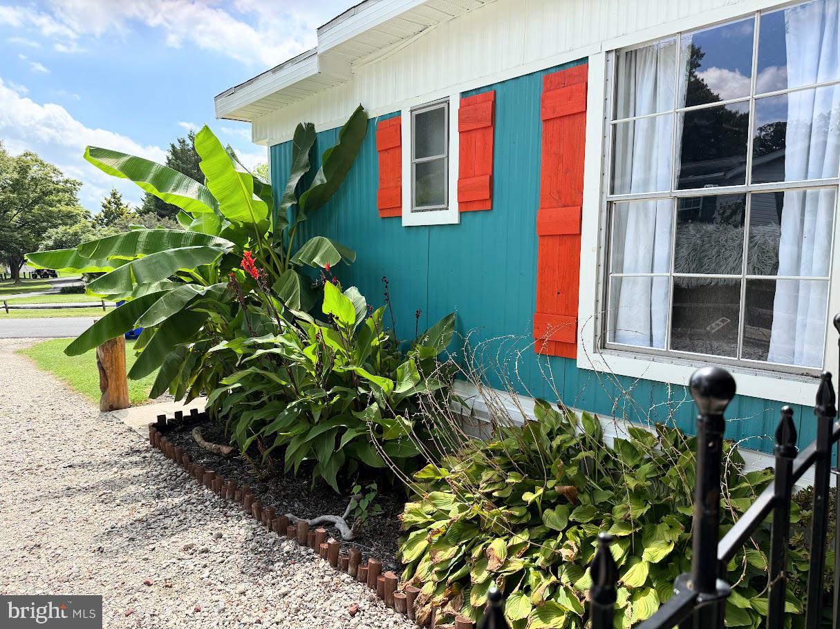 34779 CLEW STREET E-383