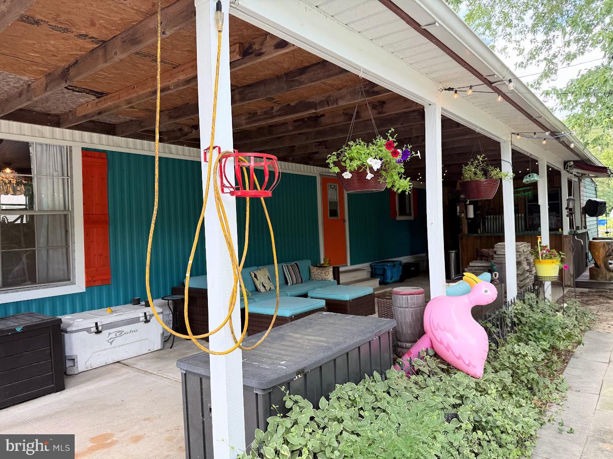 34779 CLEW STREET E-383