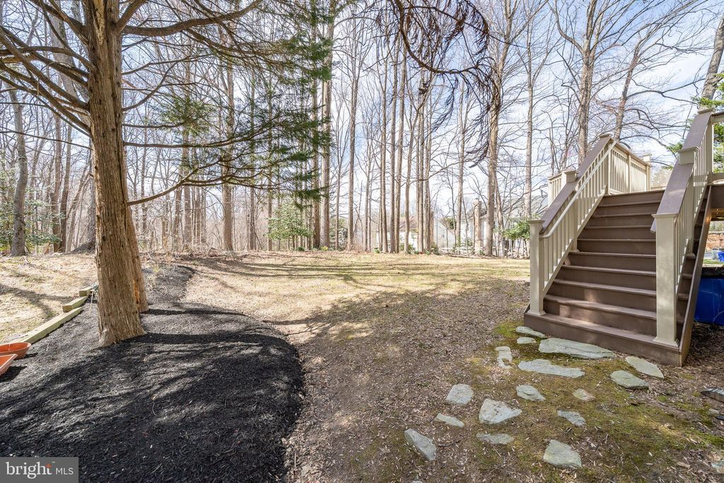 listing image 48