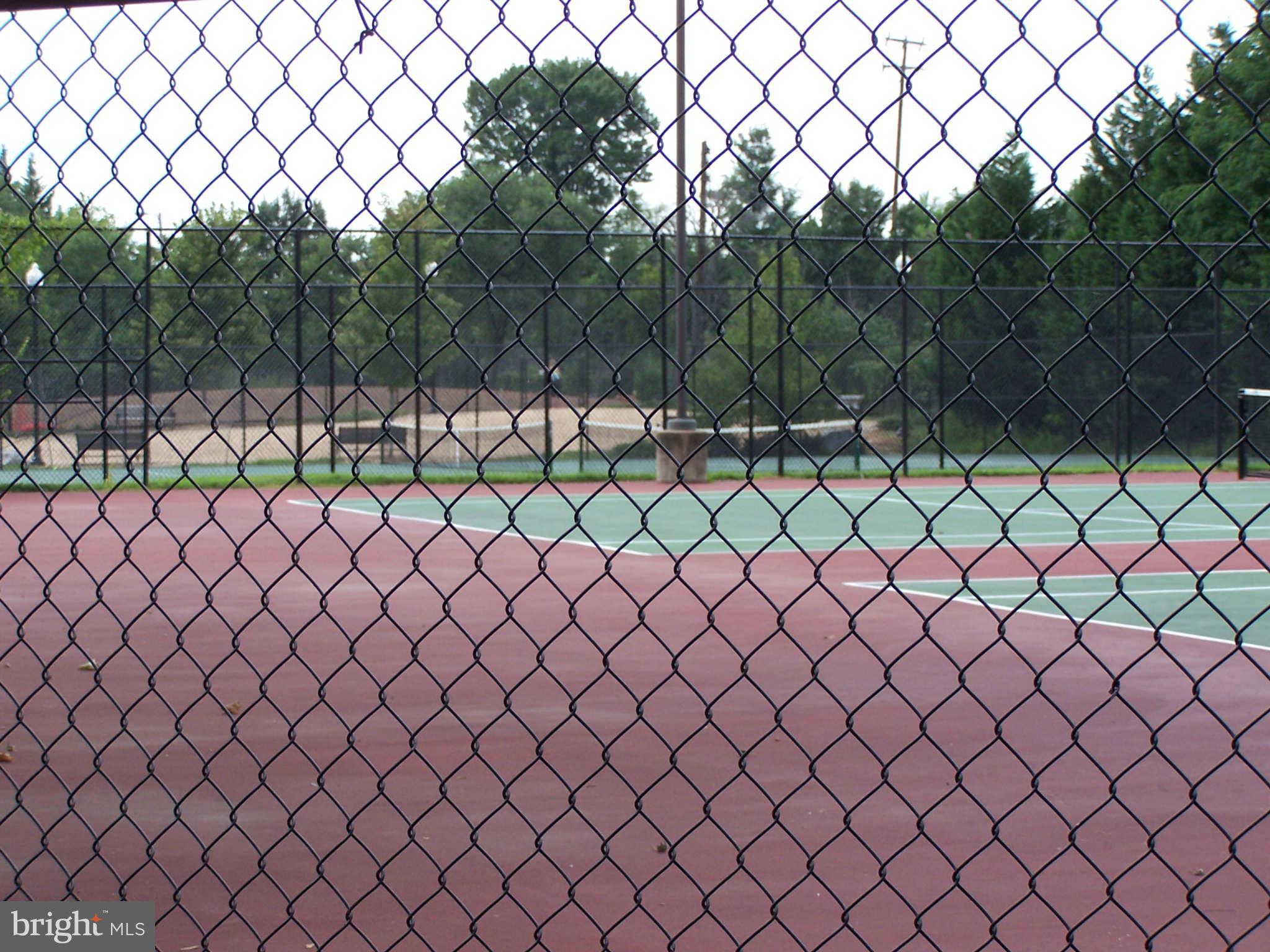 CARLYLE TOWERS CONDOMINIUM - Residential Lease