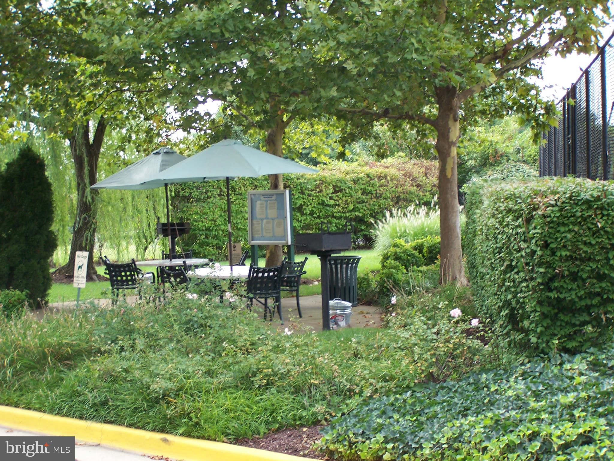 CARLYLE TOWERS CONDOMINIUM - Residential Lease