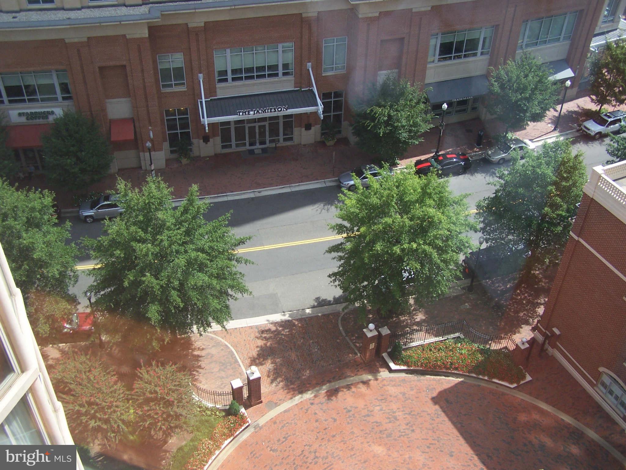 CARLYLE TOWERS CONDOMINIUM - Residential Lease