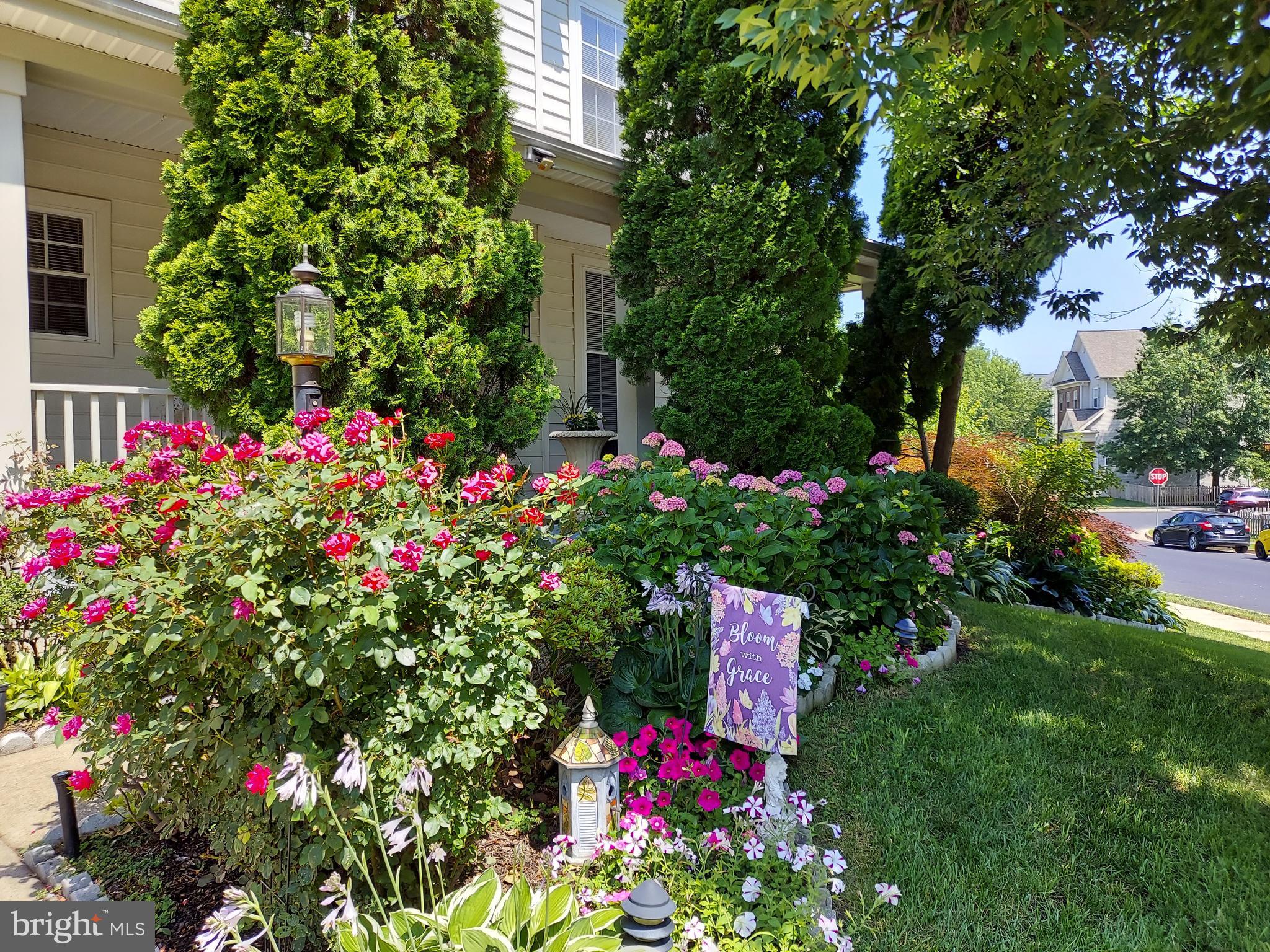 8650 TRENTON CHAPEL WAY