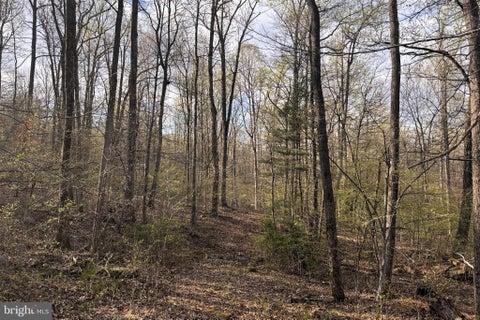 Vacant Land For Sale - Padua<br/> Rappahannock County, SPERRYVILLE, VA 22740
