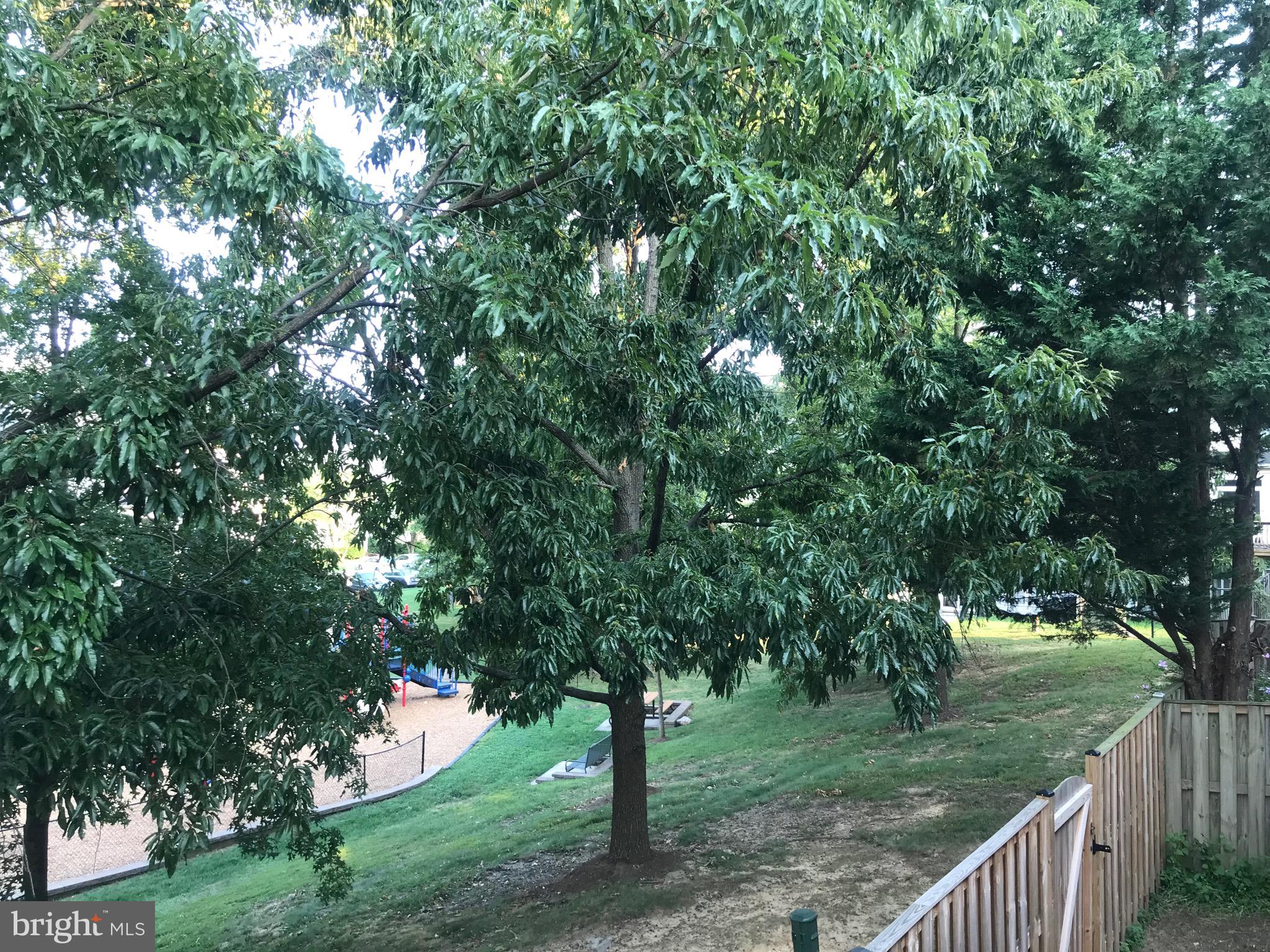 MARKHAMS GRANT - Residential Lease