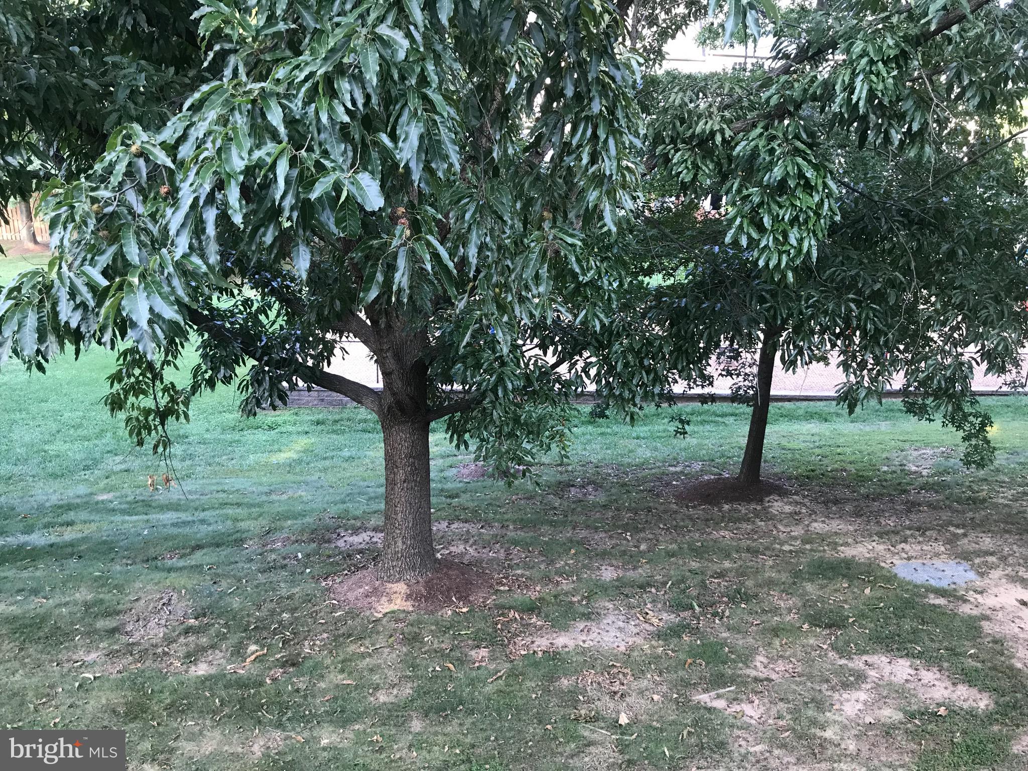 MARKHAMS GRANT - Residential Lease