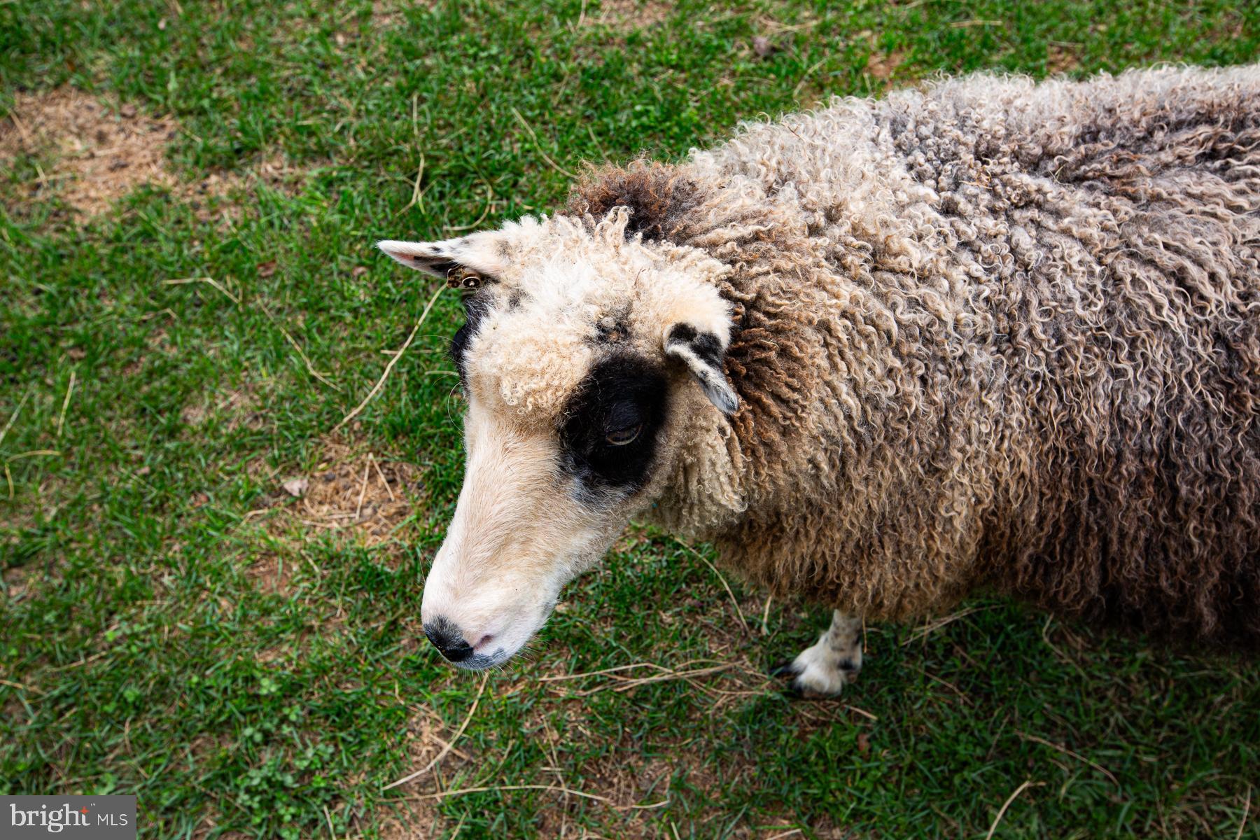 MANCHESTER ELECTION DISTRICT - Residential