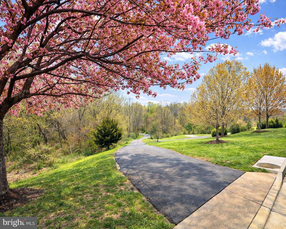 OVERLOOK - Residential Lease