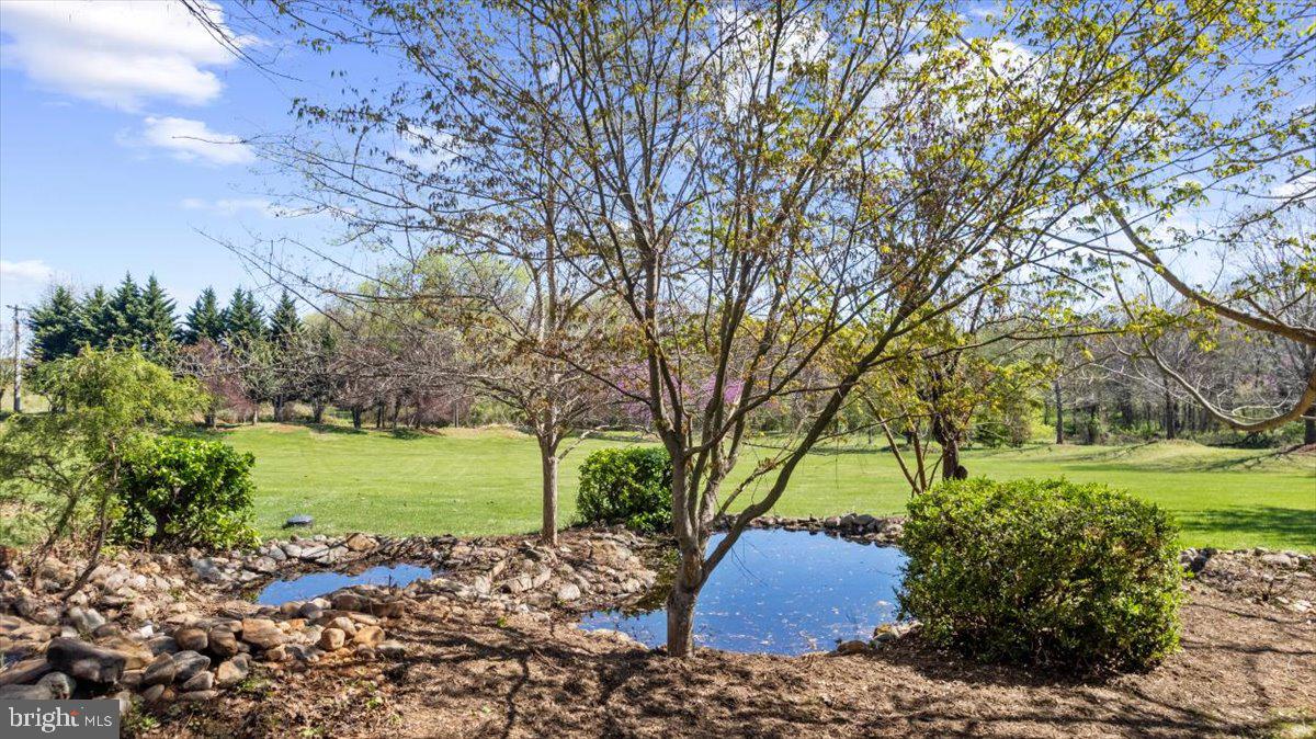 CLAIRMONT MANOR - Residential