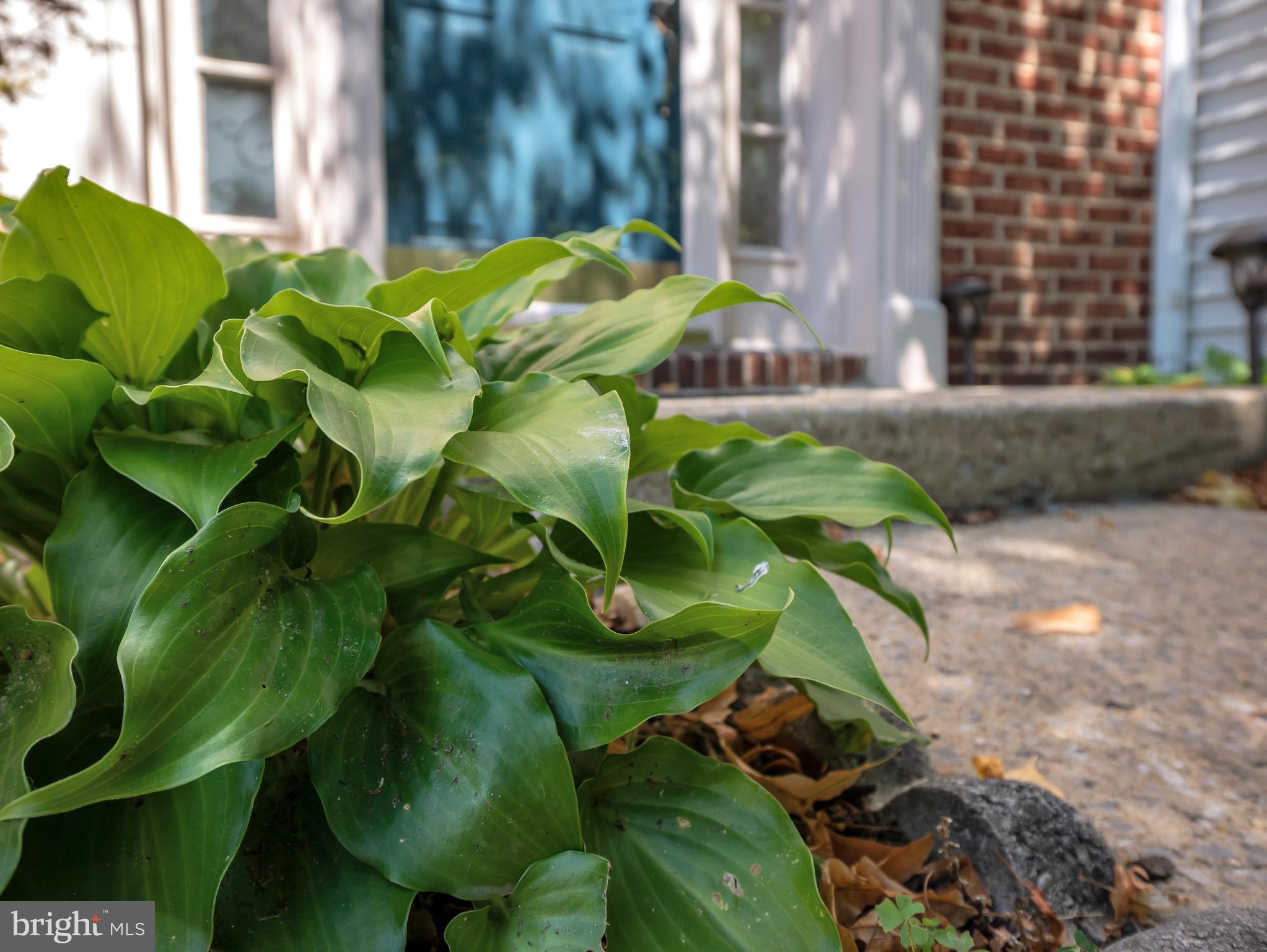 RUSSETT GREEN - Residential