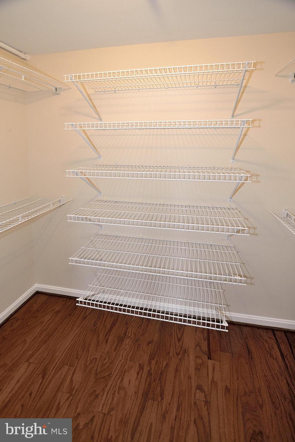 CARLYLE - Residential Lease