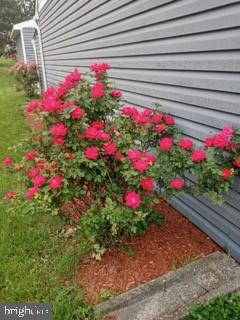 PHEASANT RUN - Residential