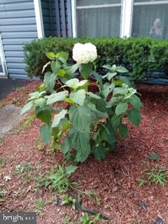 PHEASANT RUN - Residential