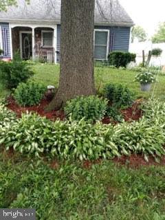 PHEASANT RUN - Residential