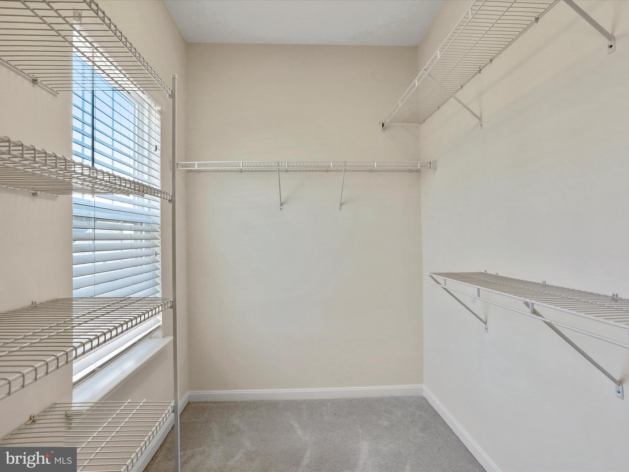 CANTER ESTATES - Residential