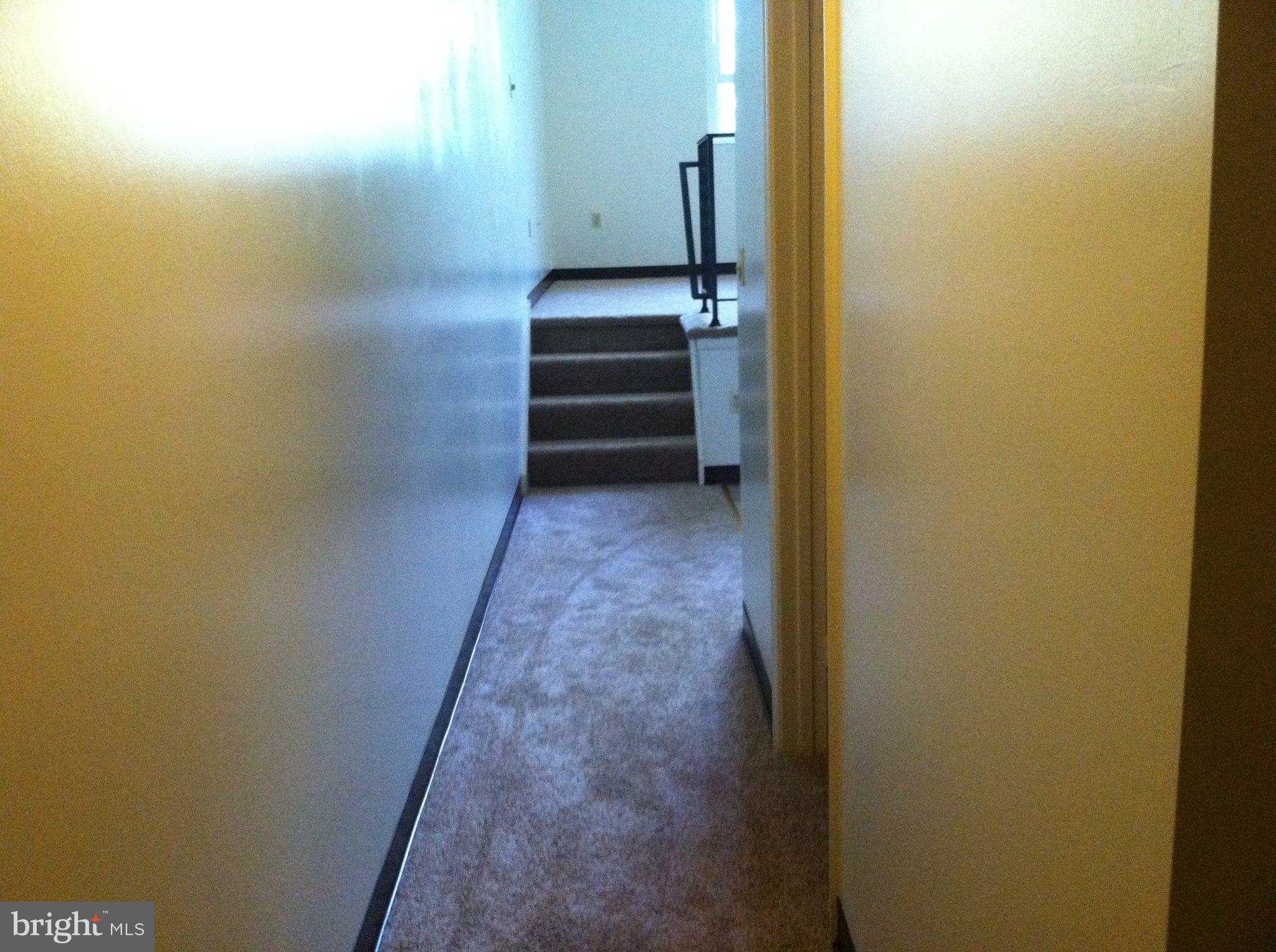 51 DEPAUL STREET 15