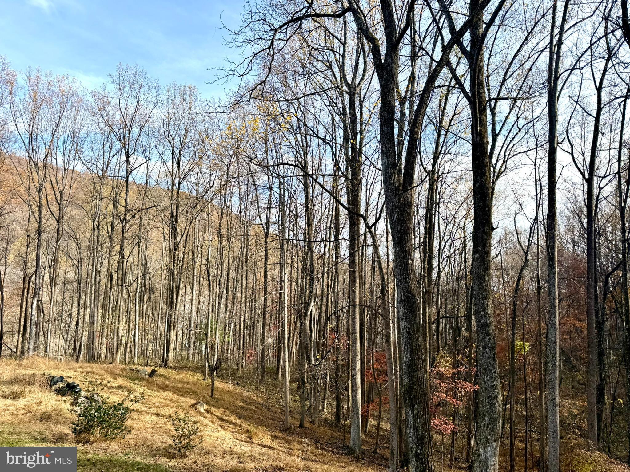 GID BROWN HOLLOW - Residential