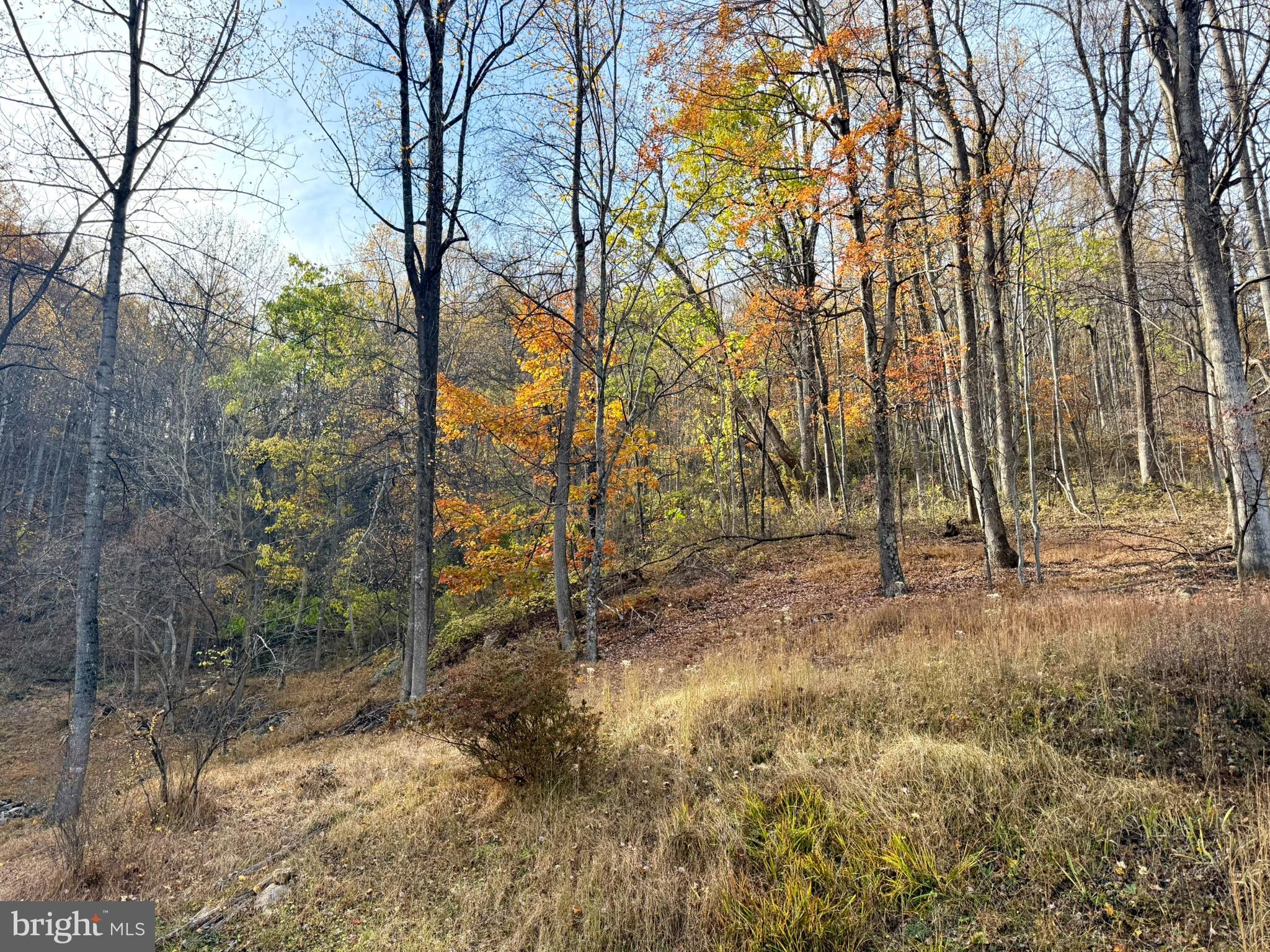 GID BROWN HOLLOW - Residential