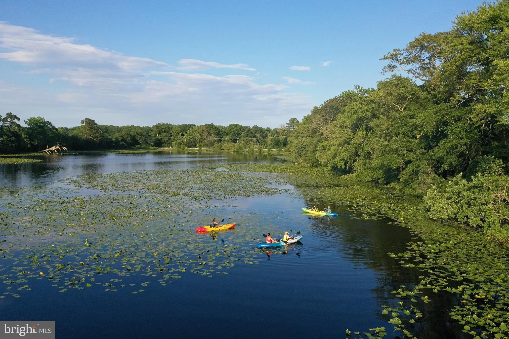 Harbeson, Delaware 19951, United States, 4 Bedrooms Bedrooms, ,4 BathroomsBathrooms,Residential,Active,87664