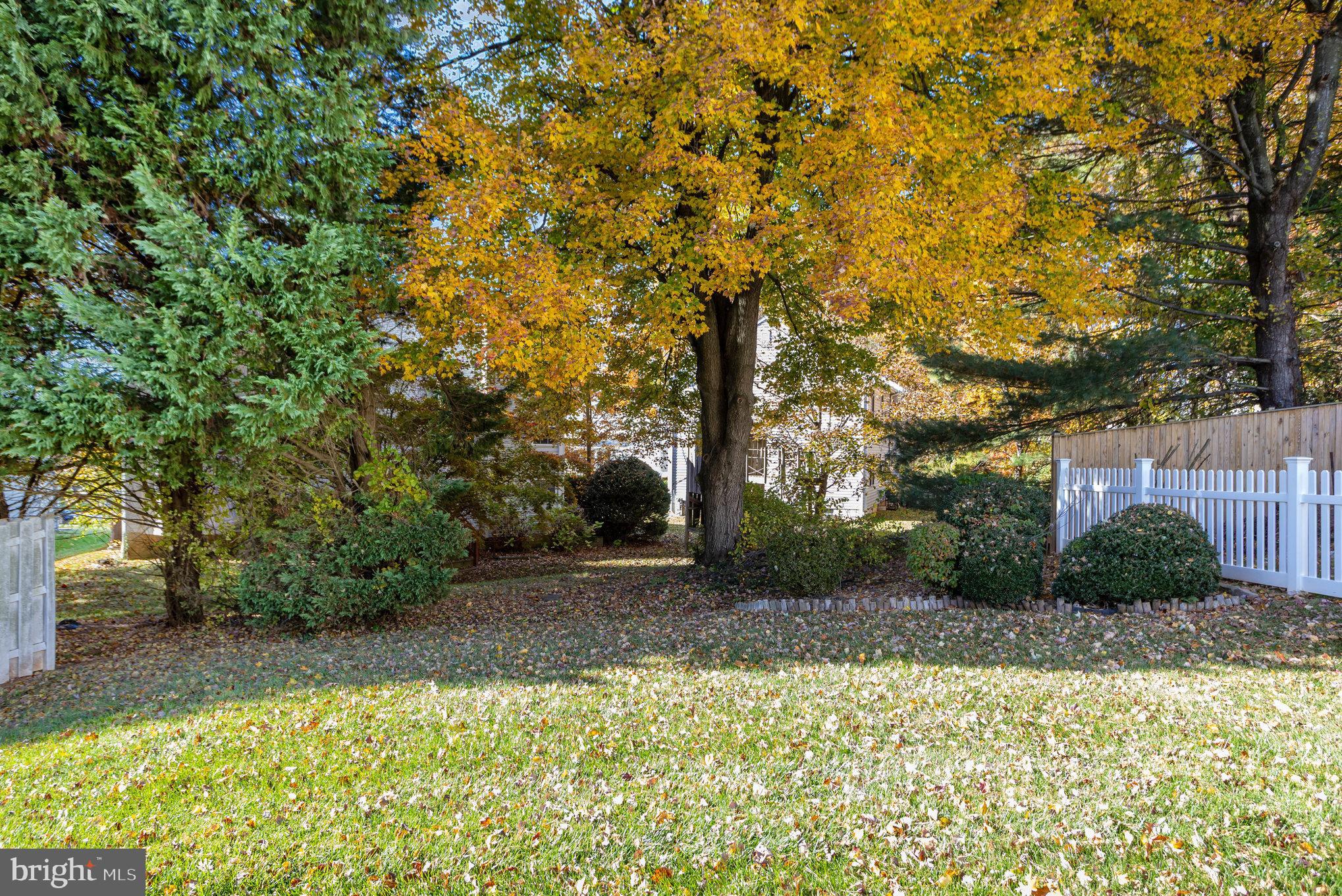 CONSTANT FRIENDSHIP - Residential