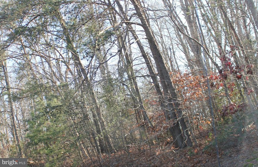 Six Plus acres on Three Notch Road