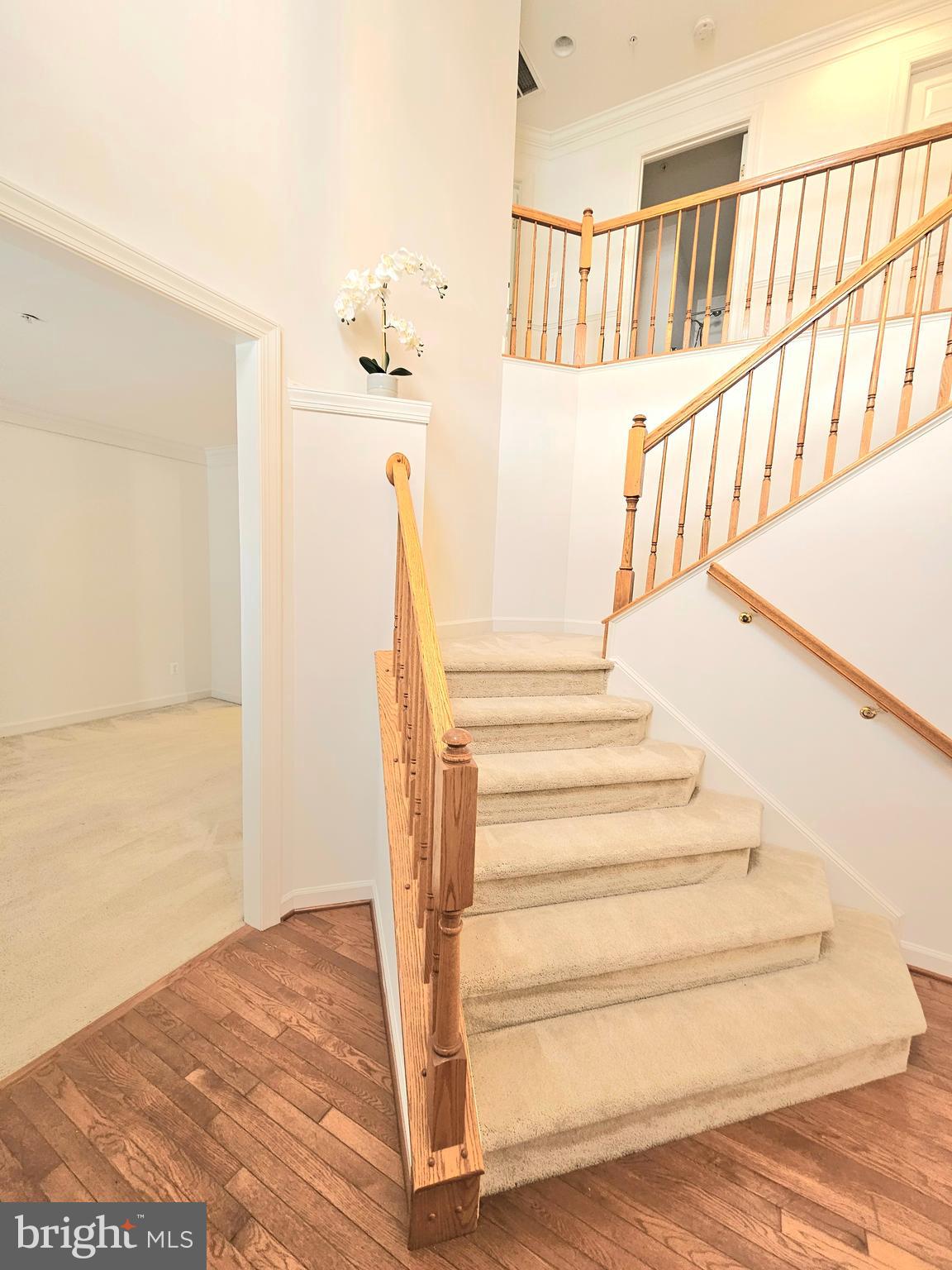 POTOMAC RIDGE-PLAT 1> - Residential