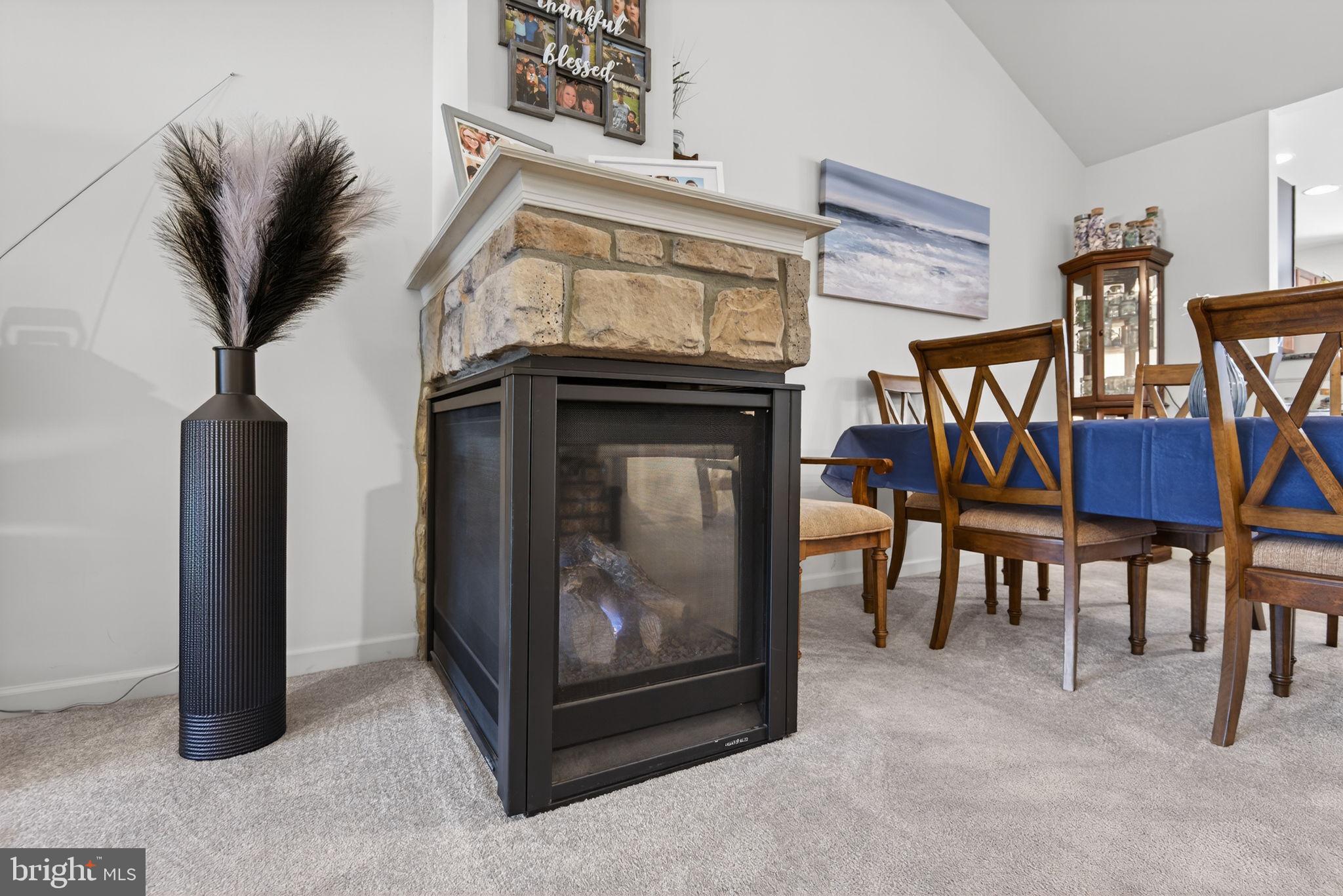 THE PADDOCK - Residential