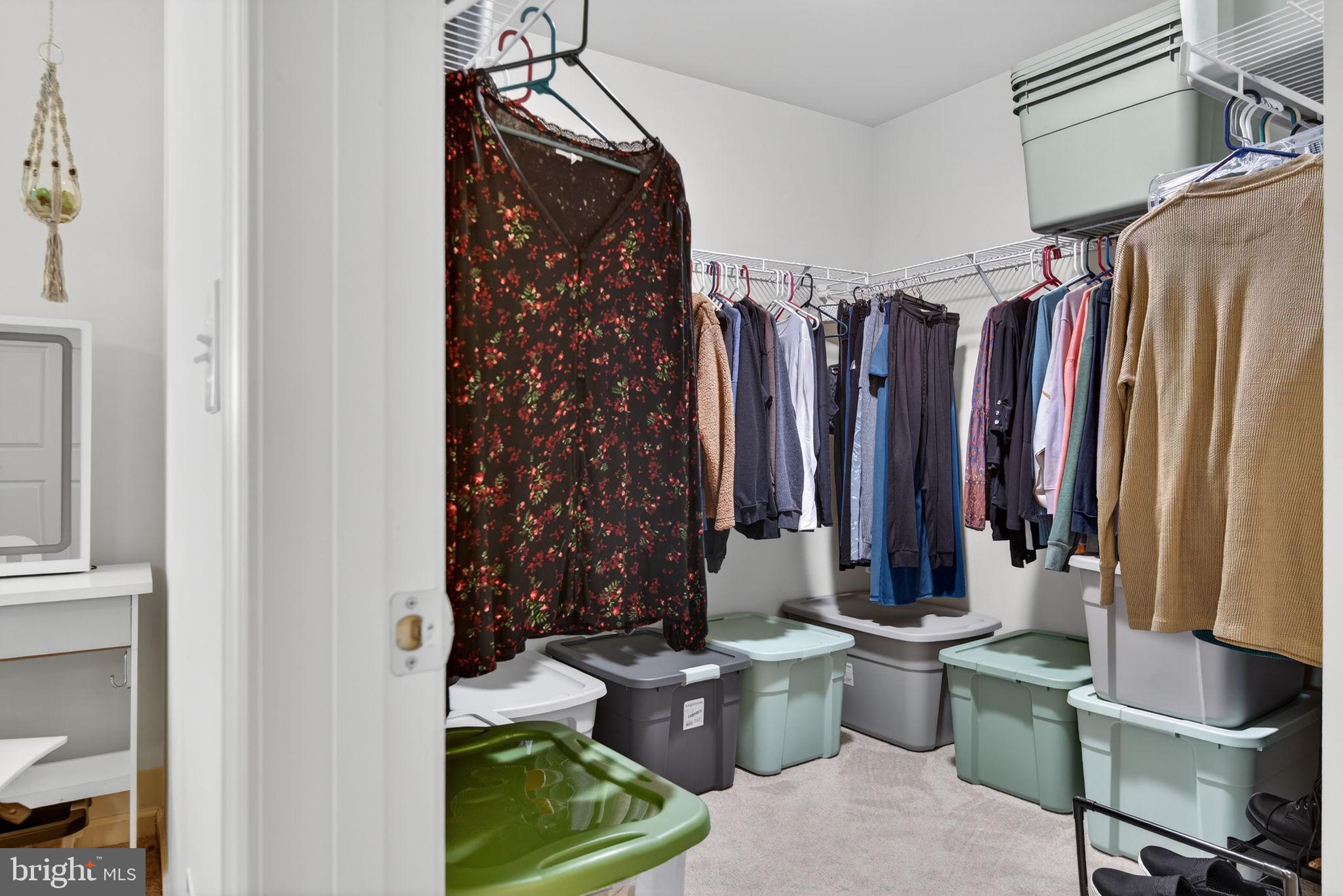 THE PADDOCK - Residential