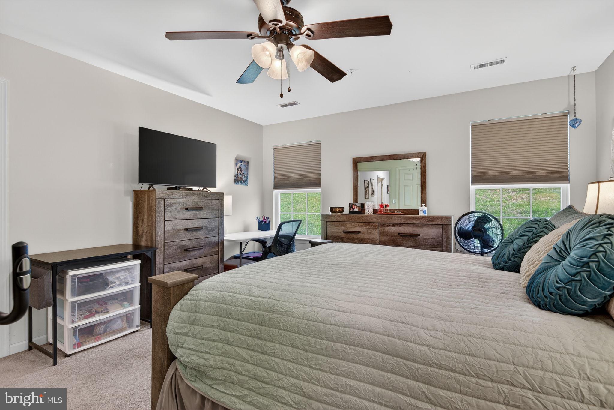 THE PADDOCK - Residential