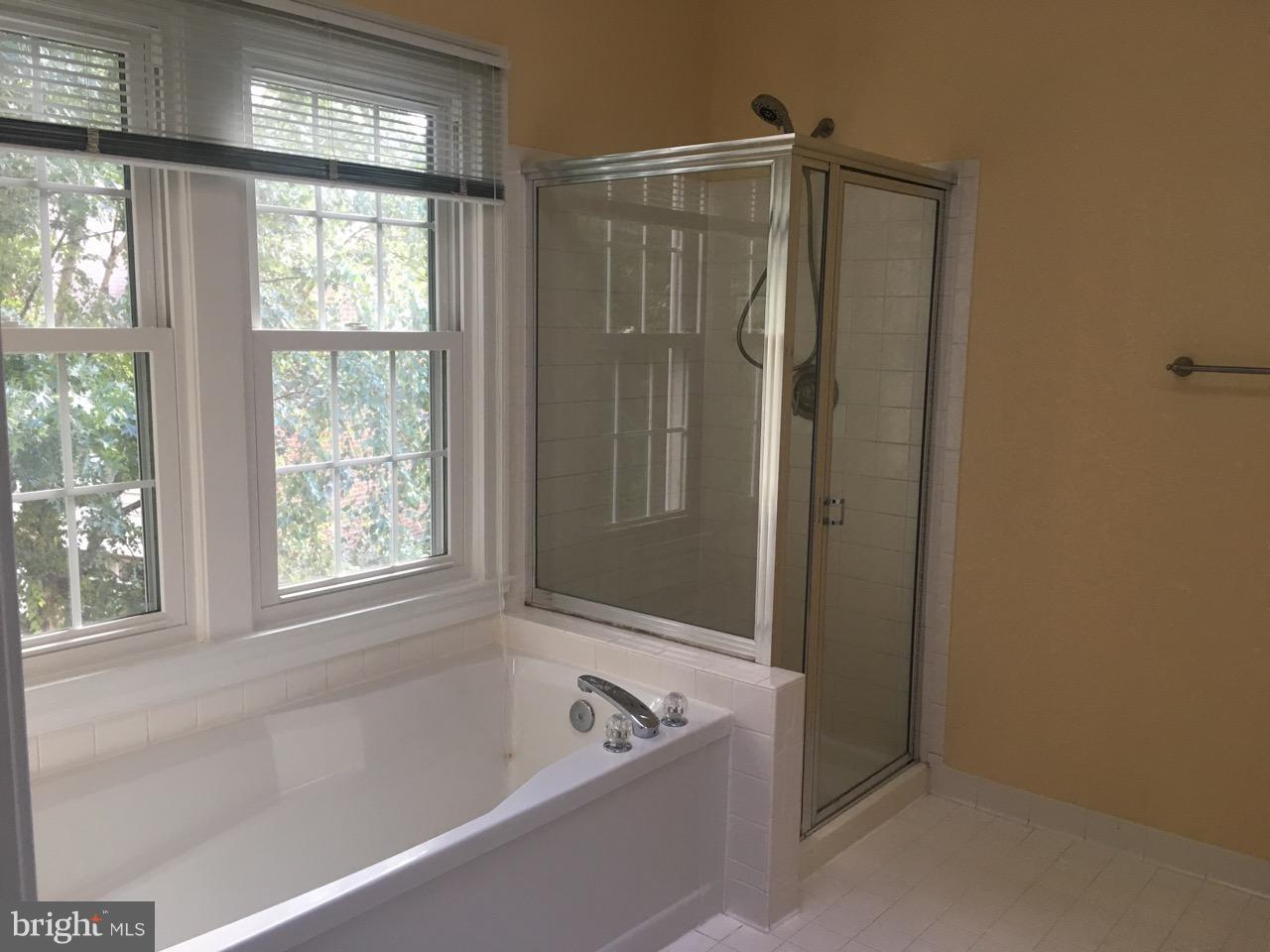 RESTON - Residential Lease