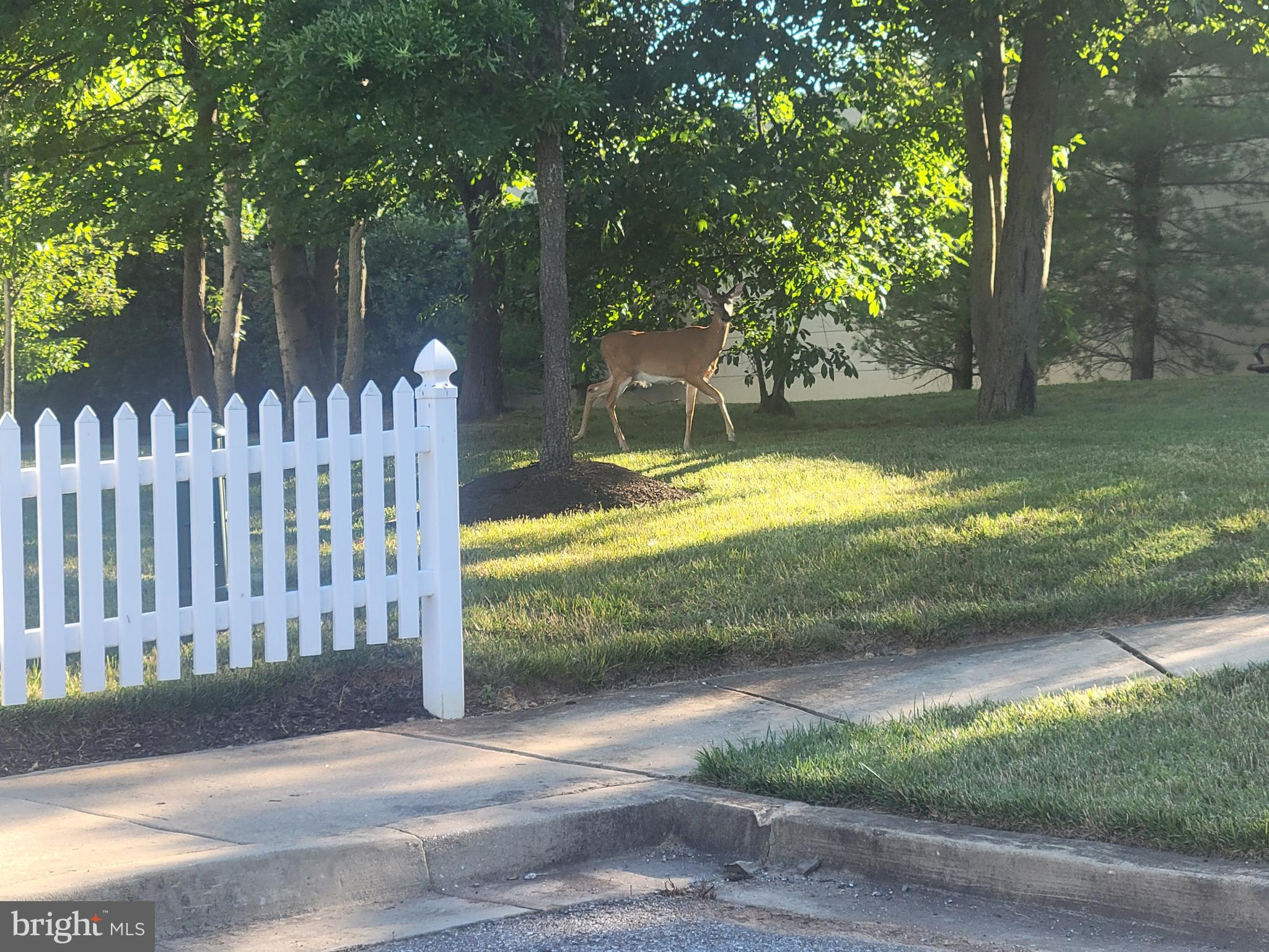 VICTORIA FALLS 2 - Residential