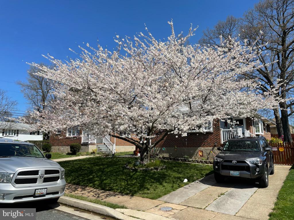 GLEN HAVEN - Residential