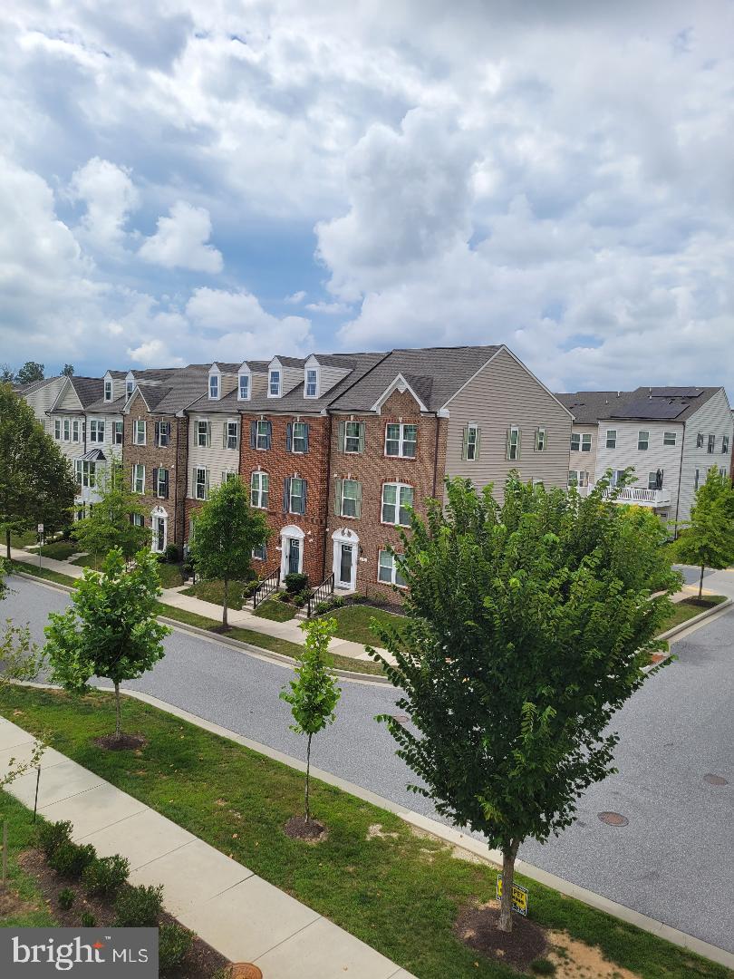 BALLARD GREEN - Residential