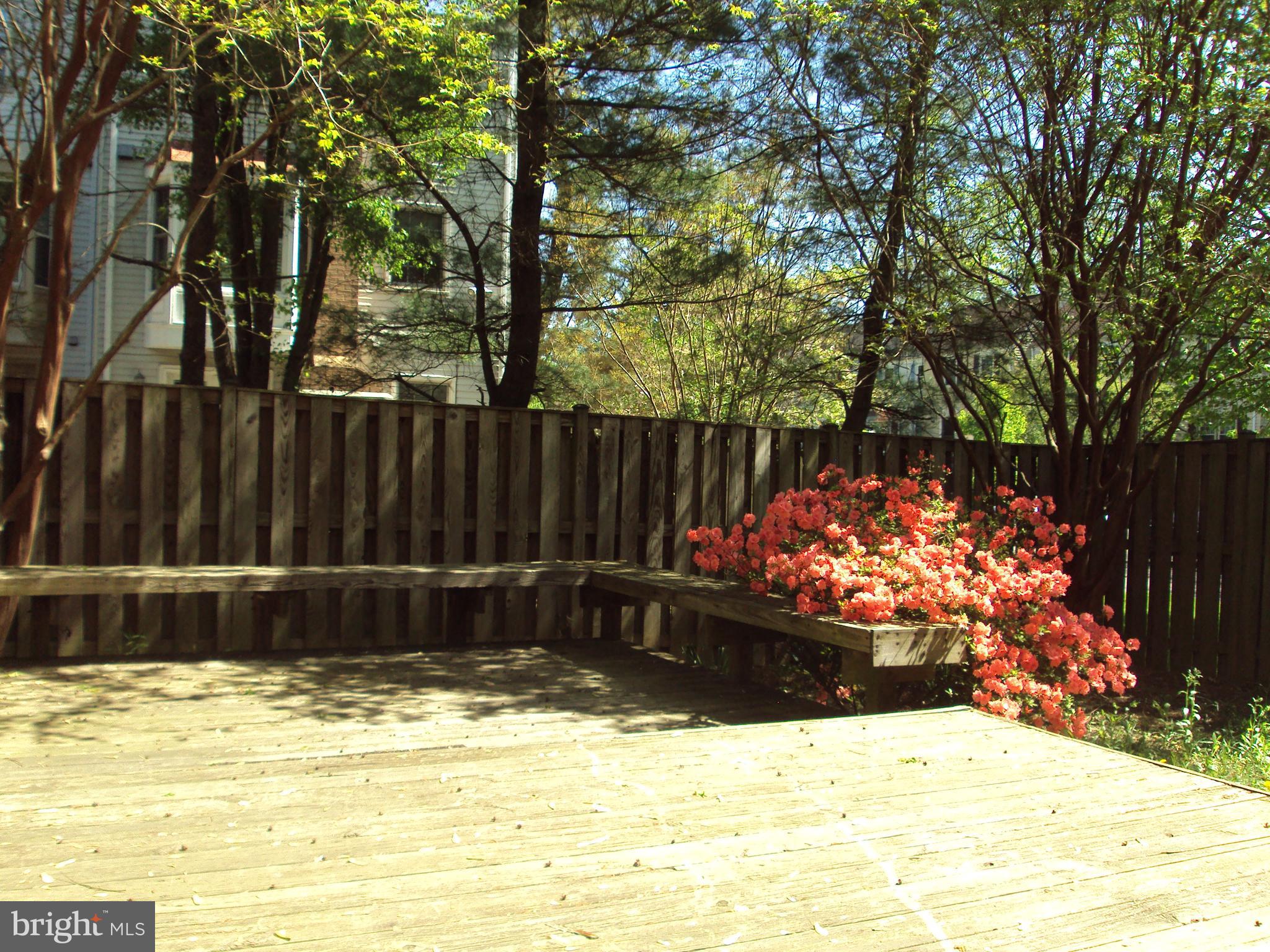 OAKLEIGH - Residential Lease