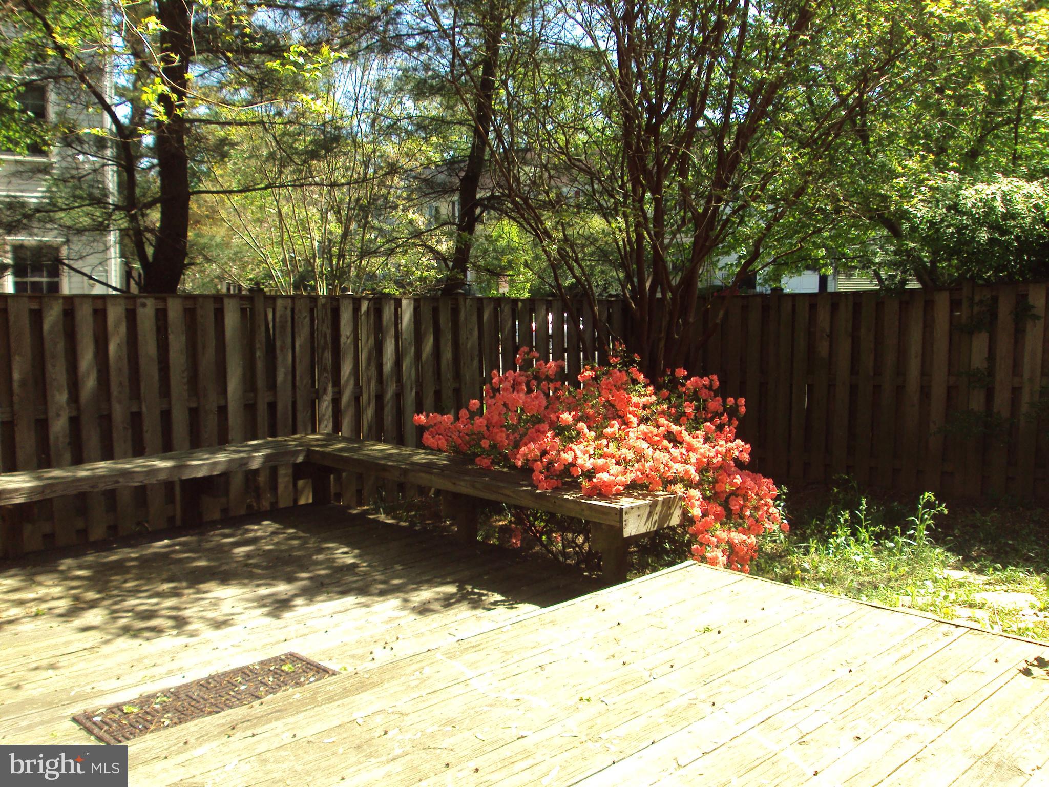 OAKLEIGH - Residential Lease