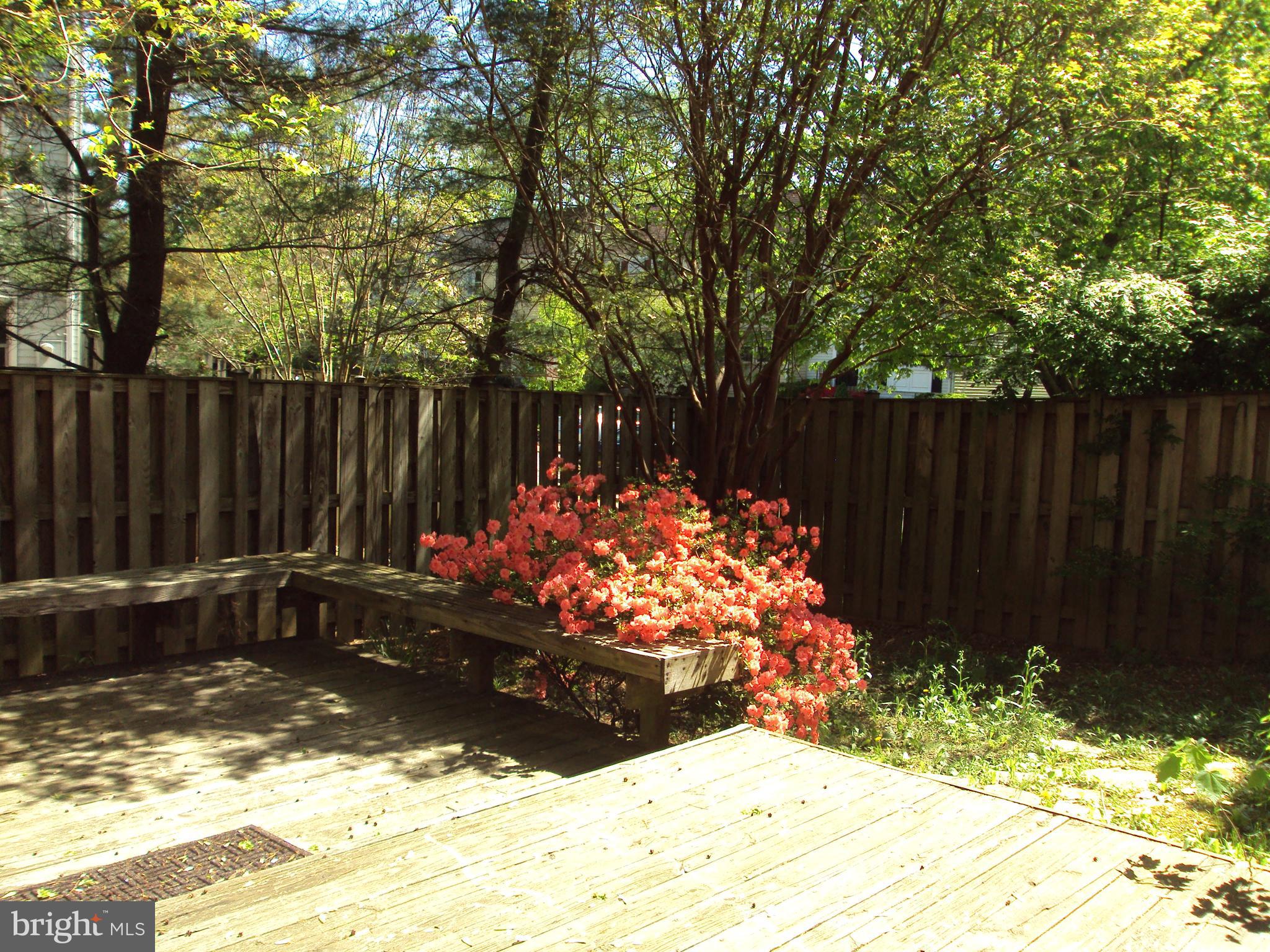 OAKLEIGH - Residential Lease