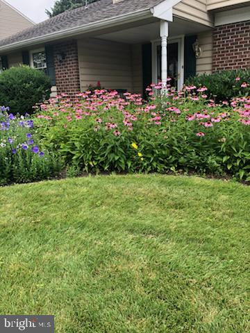 OAK HILL - Residential