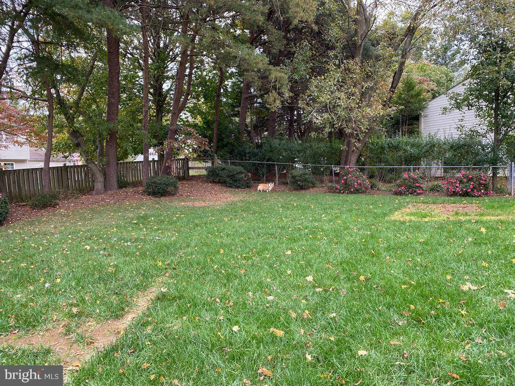 CARDINAL GLEN - Residential Lease