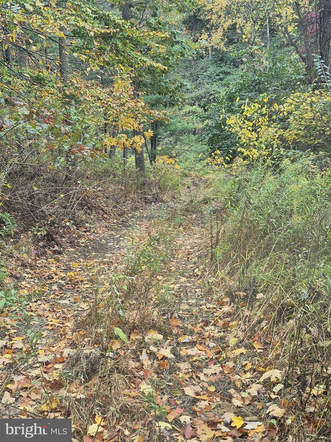 00 SMALSH BARRICK ROAD 2 PARCEL