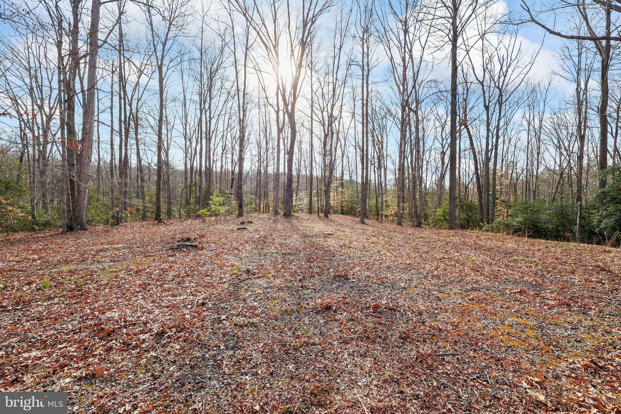 FARMER FAMILY - Residential