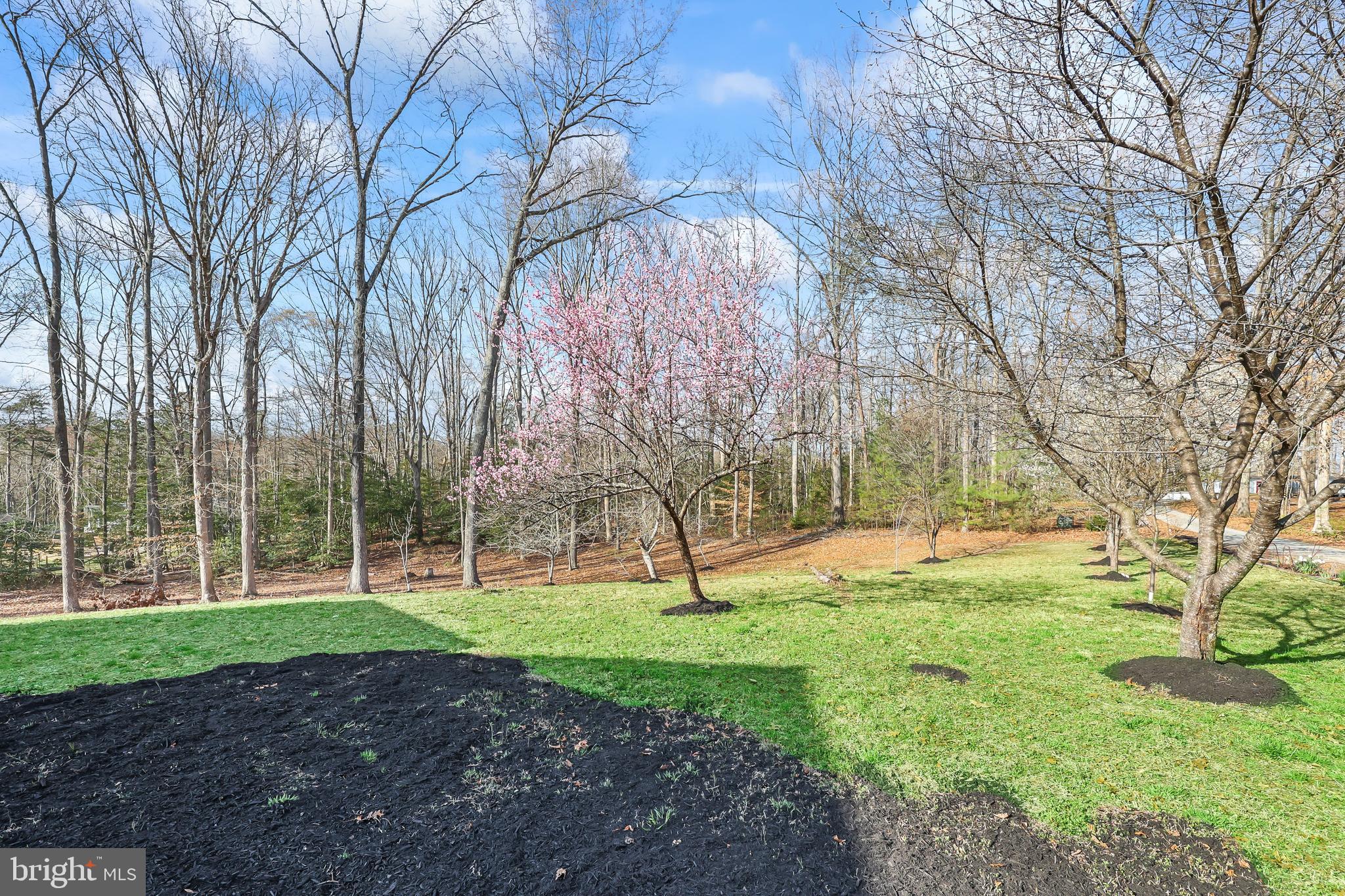 FARMER FAMILY - Residential