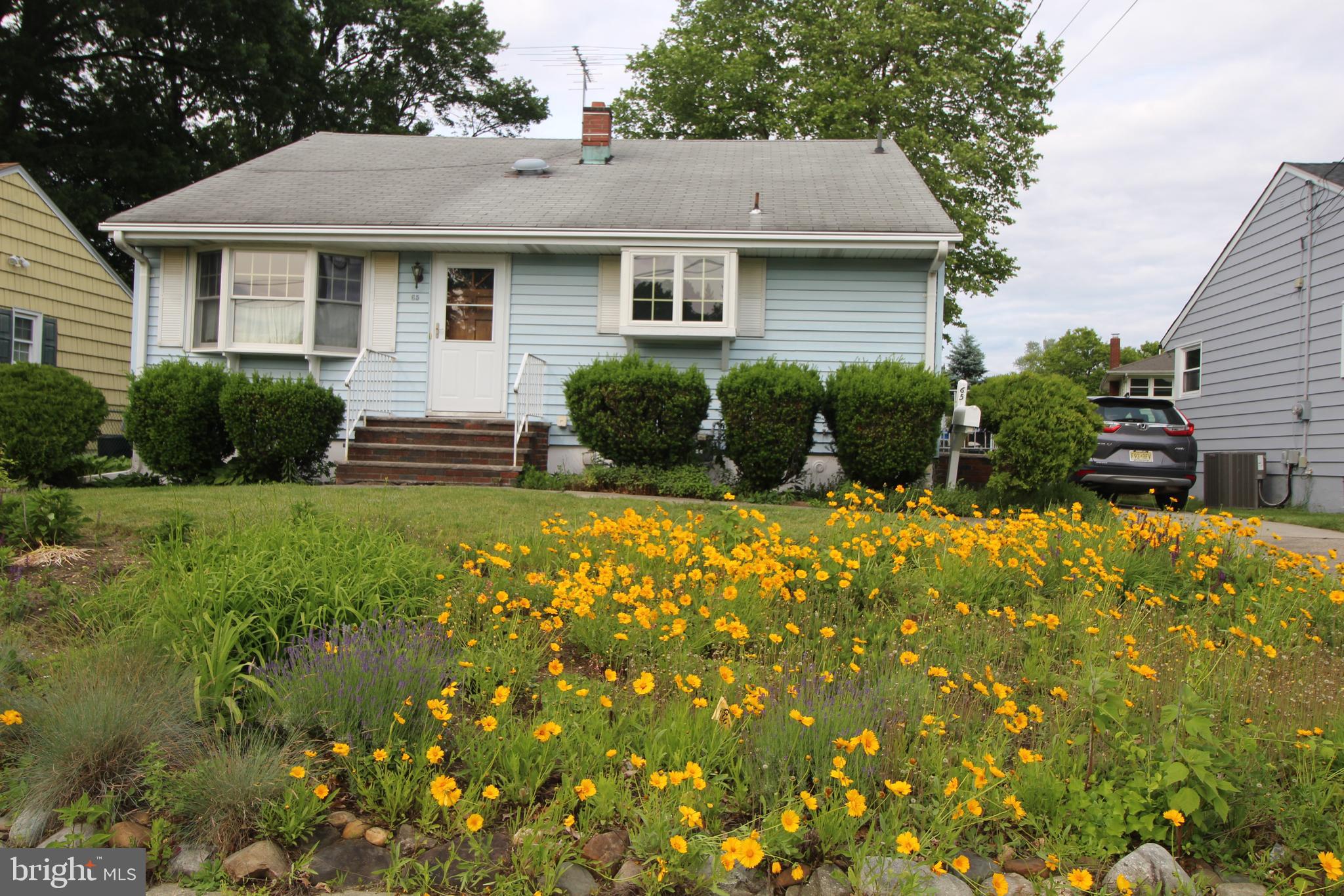 65 ALBERT AVENUE