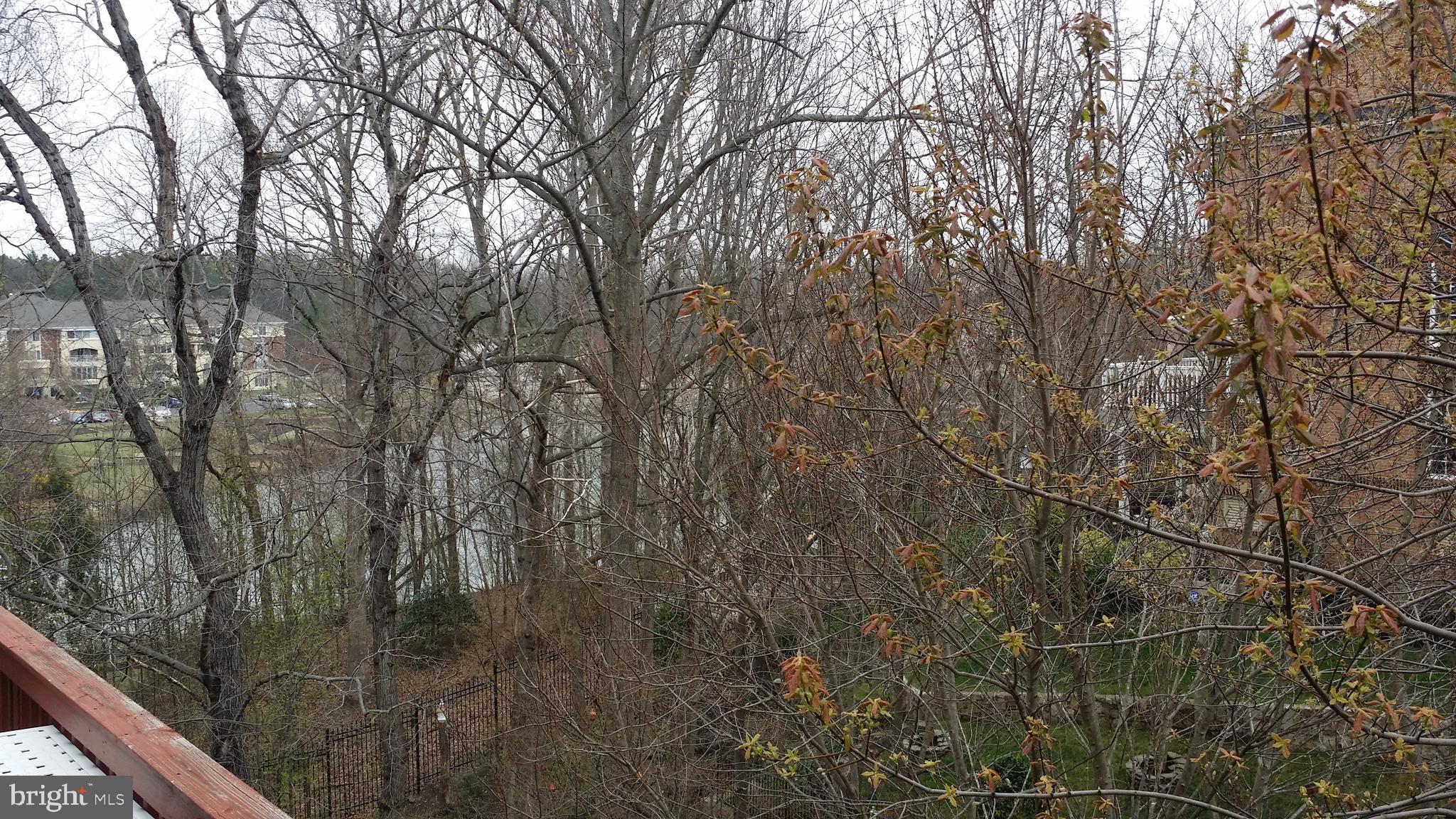 COOK INLET - Residential Lease