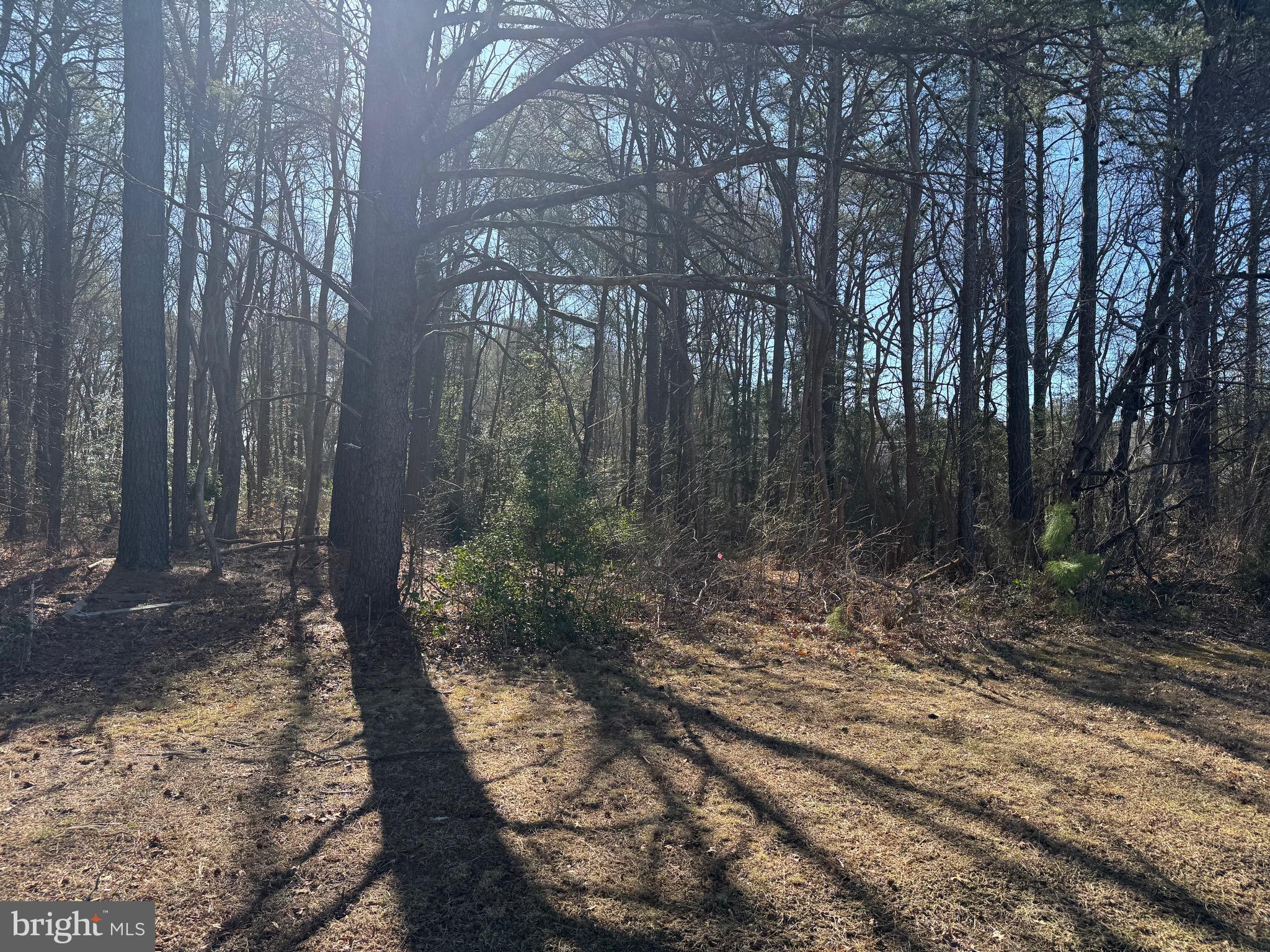 INDIAN TOWN FARMS - Land