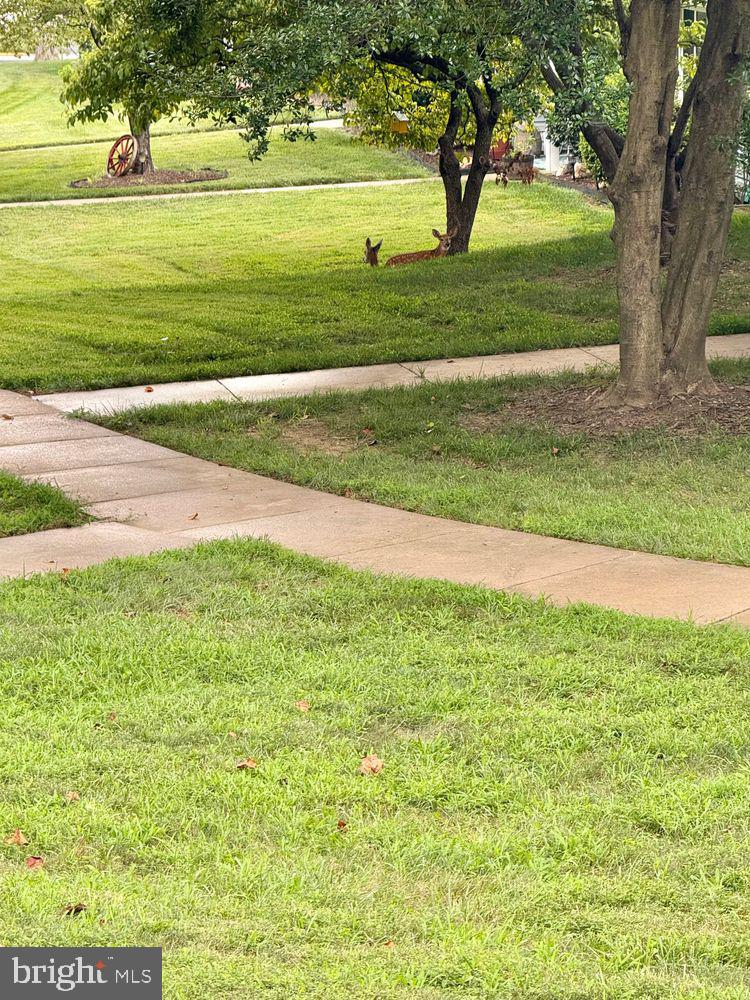 ROSSMOOR MUTUAL #9 - Residential